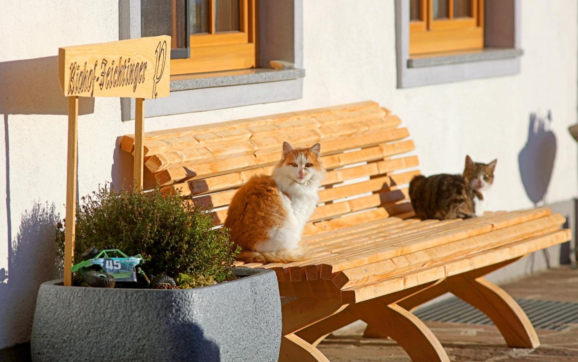 Апартаменти Biohof-Feichtinger Целль-ам-Мос Екстер'єр фото