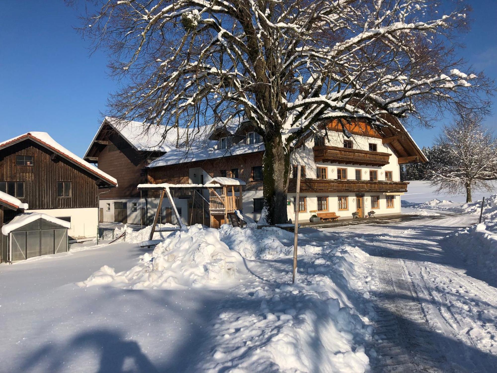 Апартаменти Biohof-Feichtinger Целль-ам-Мос Екстер'єр фото