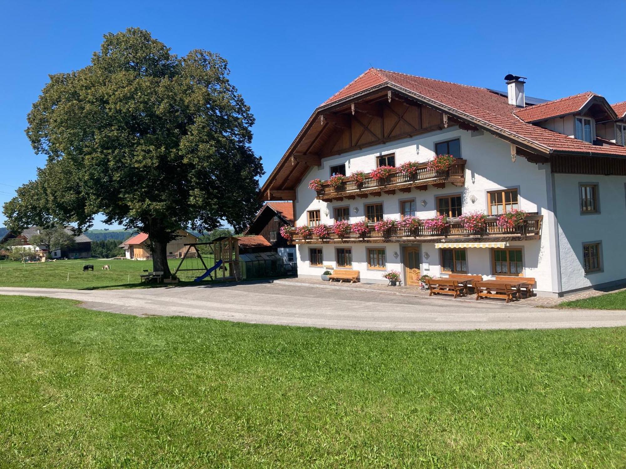Апартаменти Biohof-Feichtinger Целль-ам-Мос Екстер'єр фото